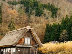 -白川乡与五箇山的合掌构造村落