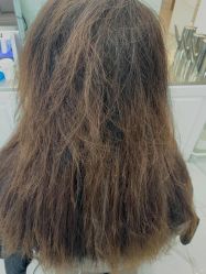 -潘多拉Hairsalon