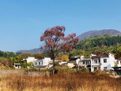 -塔川景区