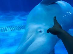 -多彩贵州城极地海洋世界