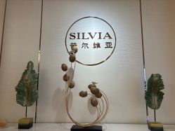 -茜尔维亚修身连锁(庆春银泰店)