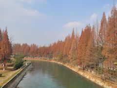 -蜀绣公园