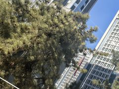 -锦江府中餐厅(电谷雅阁国际大酒店)