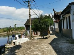 -小陆莲花蟹园农家乐(莲花岛店)