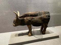 -仪征博物馆