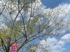 -崇圣寺三塔文化旅游区