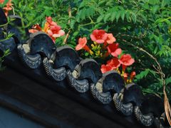 -老门东历史文化街区