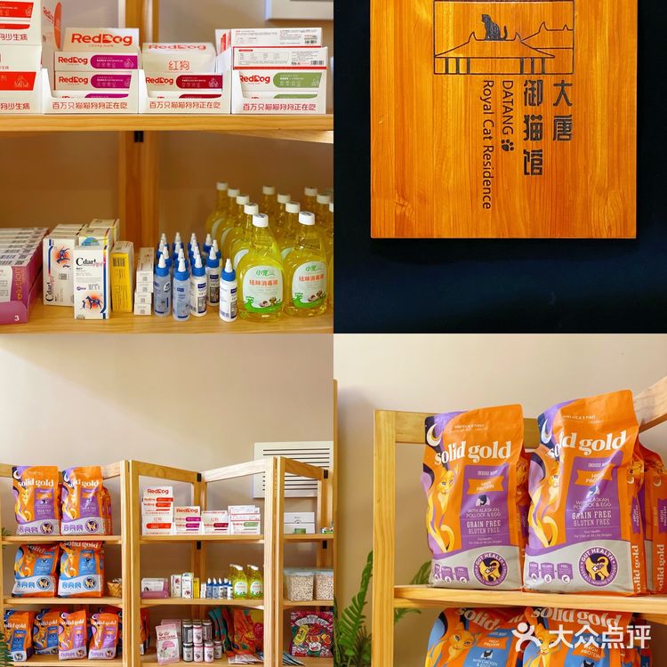西安首家丨别墅级超大型×品质猫舍×在线撸猫🐱
