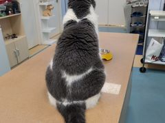 -芭比堂动物医院·犬猫全科·异宠专科(雁塔分院)