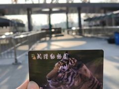 -武汉动物园