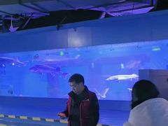 -重庆欢乐海底世界
