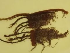 -上海纺织博物馆