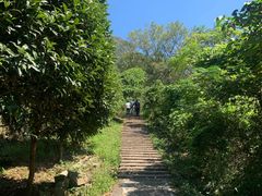 -大罗山风景区