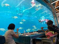 -瑞德姆美人鱼海底演艺主题餐厅(亚龙湾店)