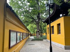 -西园戒幢律寺