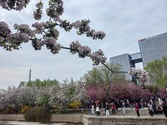 -海棠花溪(元大都城垣遗址公园)