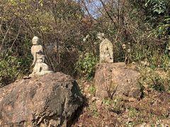 -午潮山国家森林公园