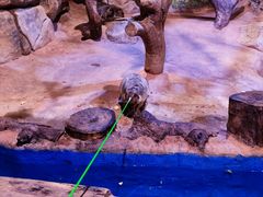 -正佳雨林生态植物园