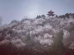 -白水寺森林公园