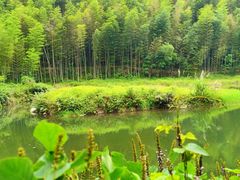 -千泷沟大瀑布旅游区