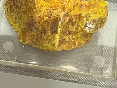 -湖南省地质博物馆