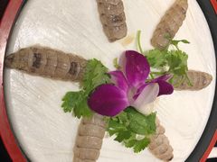 -草鱼先生潮州鱼生·虾生(新厦花园店)