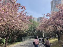 -苏州河梦清园环保主题公园