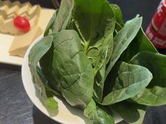 -葛记红焖羊肉(和平路形象店)