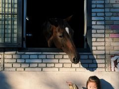 -北京群众马术培训基地