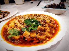 麻婆豆腐-熊猫川菜馆 panda chine