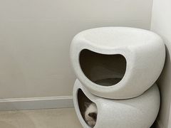 -怪兽屋·羊驼·猫咖·狗咖(俊华广场店)