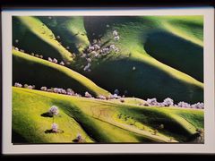 -罗红摄影艺术馆