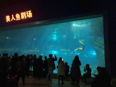 -福州罗源湾海洋世界旅游区