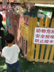 -萌宠亲子动物乐园(槐房万达店)