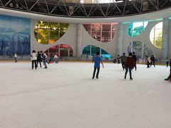 -世界之窗阿尔卑斯冰雪世界
