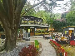 -南国桃园旅游度假区