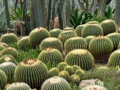 -华南国家植物园-售票处