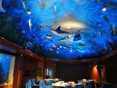-海游荟·海洋文化餐厅(福田店)