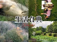 -长春市南湖公园