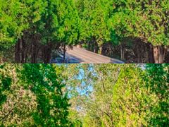 -禅宗少林·音乐大典