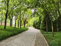 -北坞公园