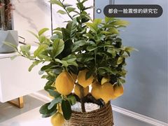 -京东家装(昆明总店)