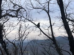 -句容茅山景区