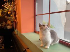 -IFIF 如果花園(宽厚里店)