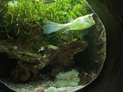 -杭州长乔极地海洋公园