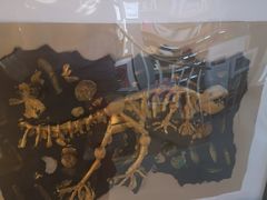 -新华书店(解放中路店)