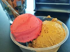 -Patagonia Chocolates(皇后镇店)