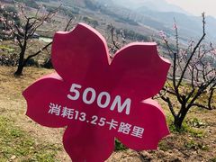 -溪口-滕头旅游景区