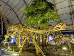 -辽宁古生物博物馆