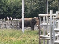 -西安秦岭野生动物园